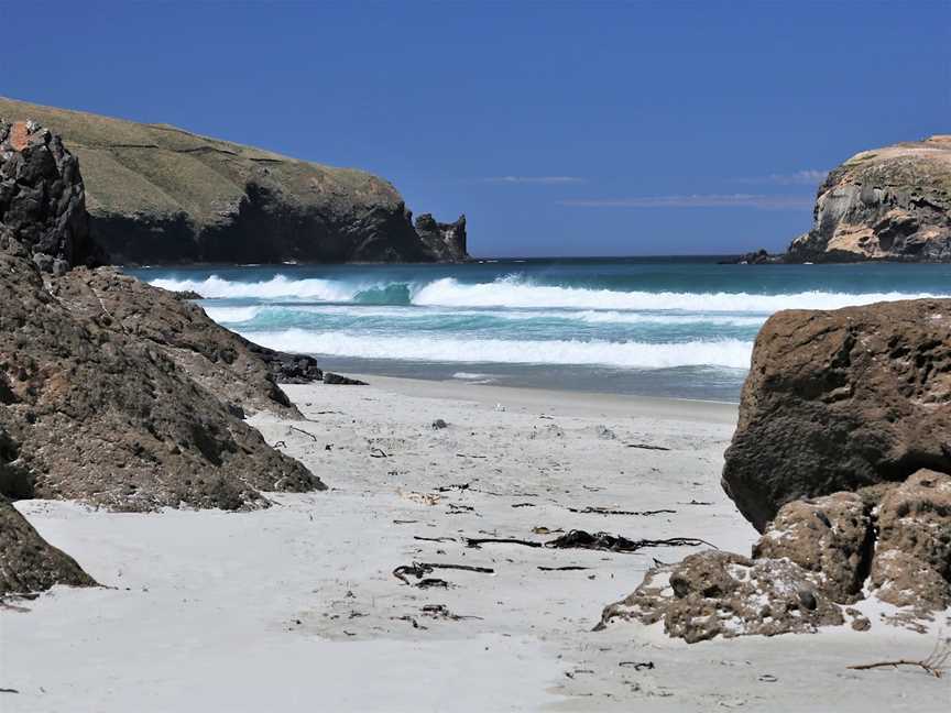 Allans Beach, Portobello, New Zealand