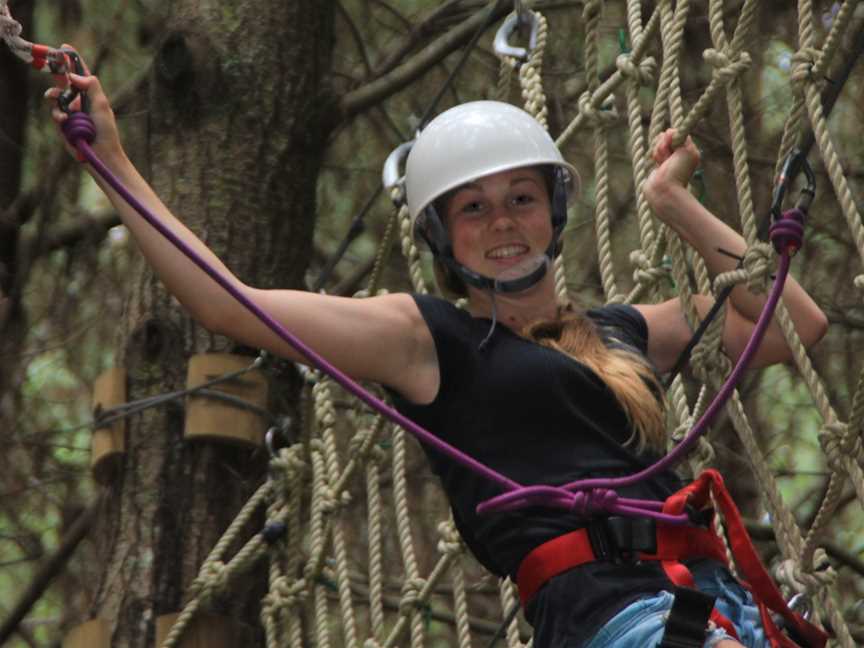 Adventure Forest, Glenbervie, New Zealand