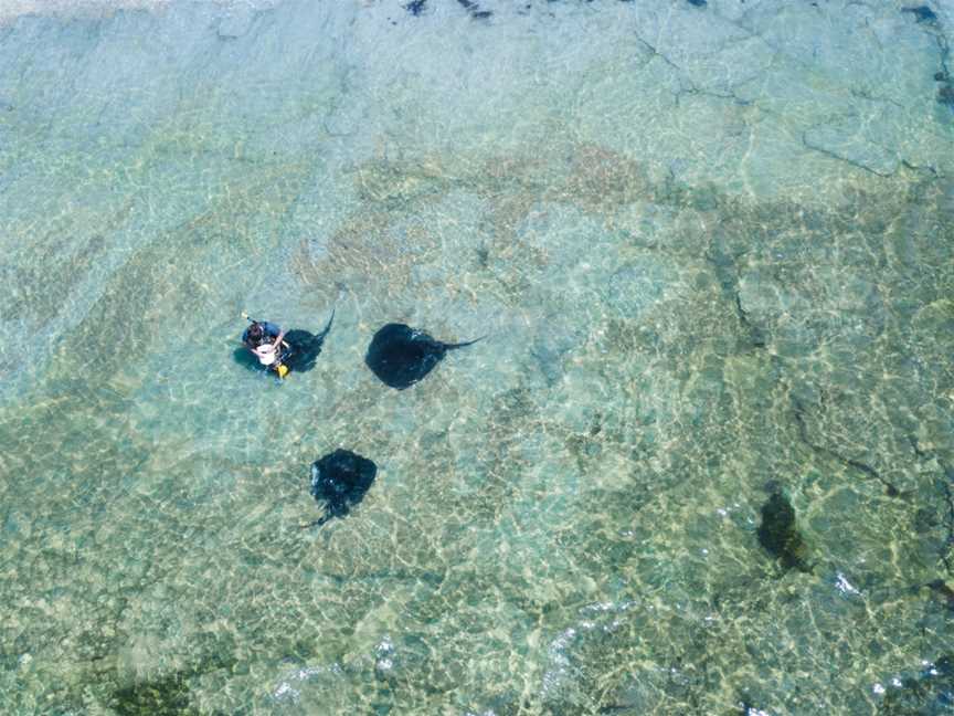 Dive Tatapouri, Gisborne, New Zealand