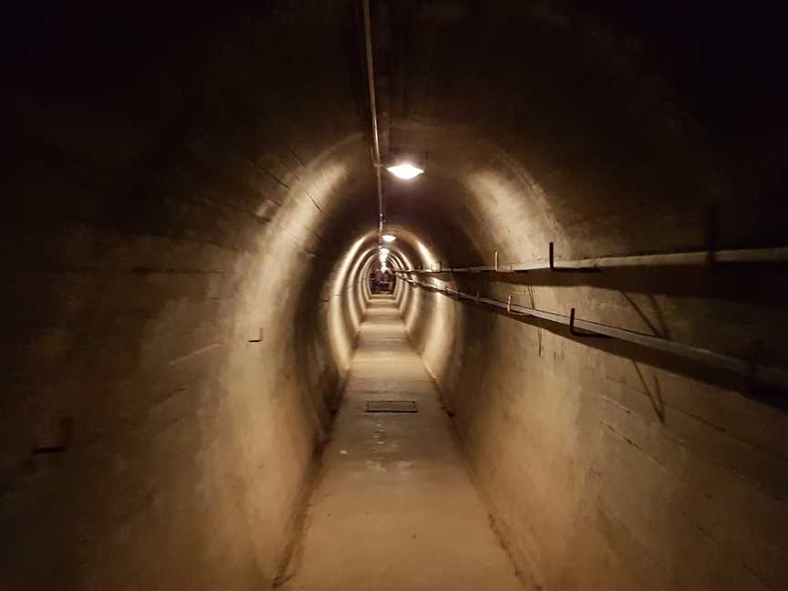 Wrights Hill Fortress, Karori, New Zealand