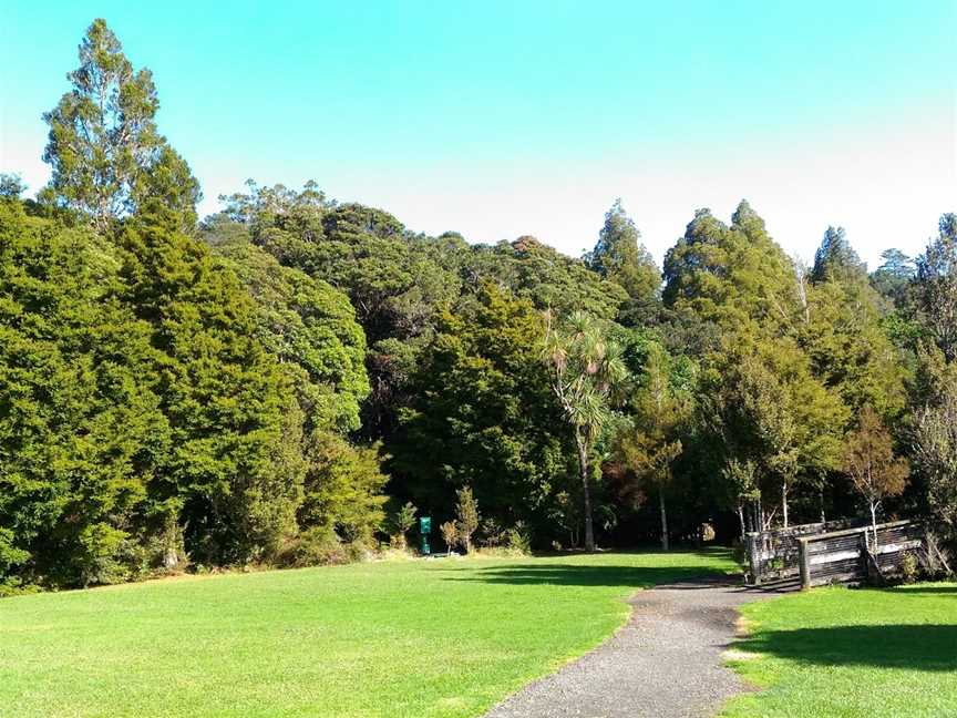 Trounson Kauri Park, Dargaville, New Zealand