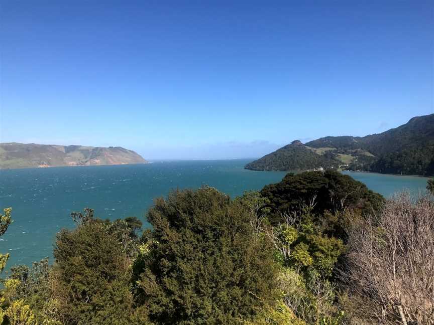 Huia Point Lookout, Auckland, New Zealand