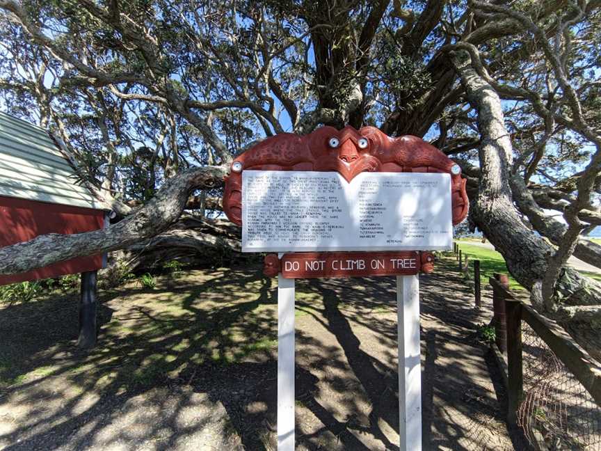 Te Waha O Rerekohu - Oldest Pohutukawa Tree, Te Araroa, New Zealand