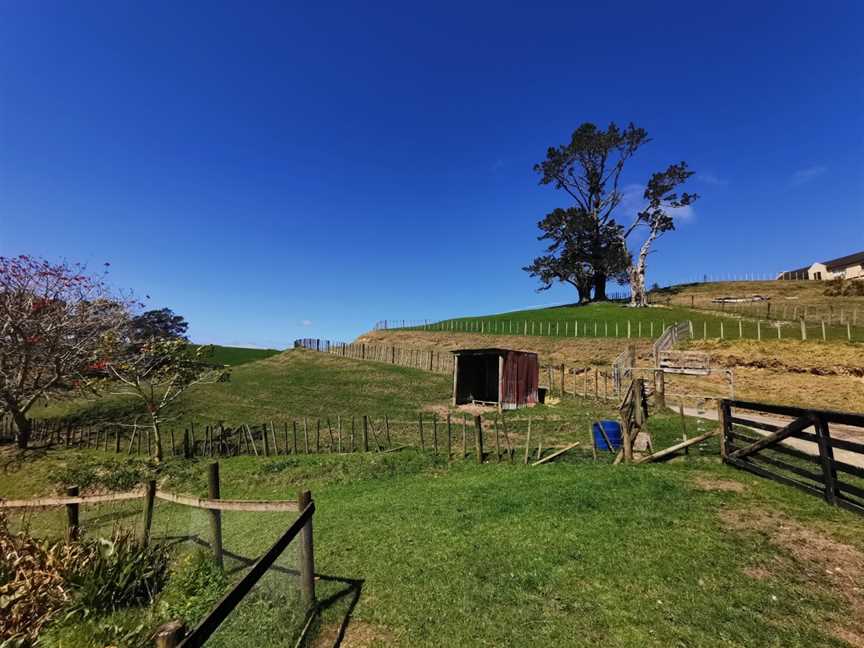 Kiwi Valley Farm Park, Henderson Valley, New Zealand