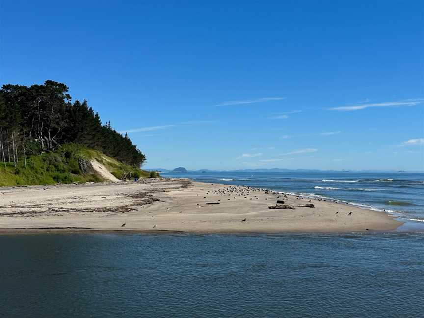 Kaituna Scenic Reserve, Papamoa Beach, New Zealand