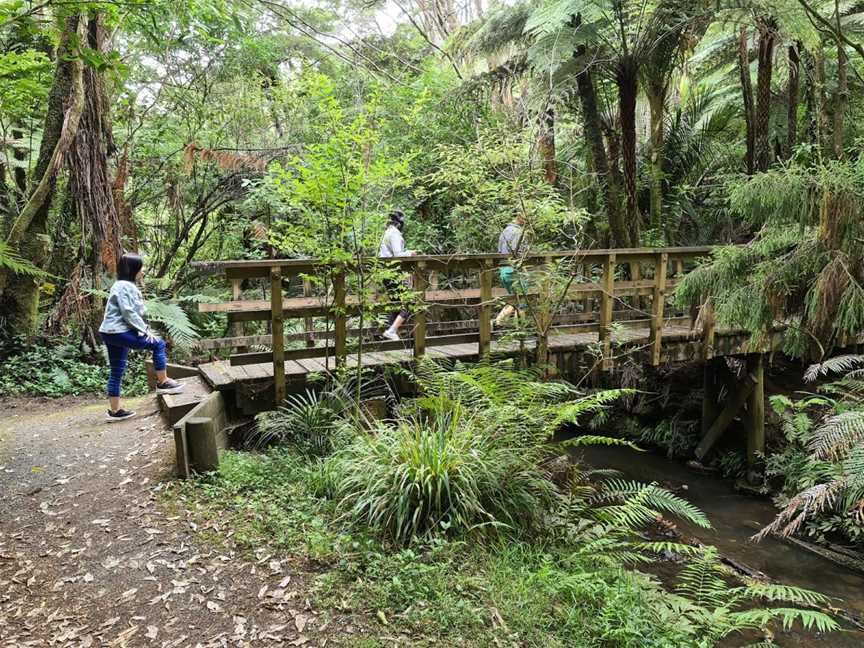 Moirs Hill Walkway / Pohuehue Waterfalls DOC #11, Warkworth, New Zealand