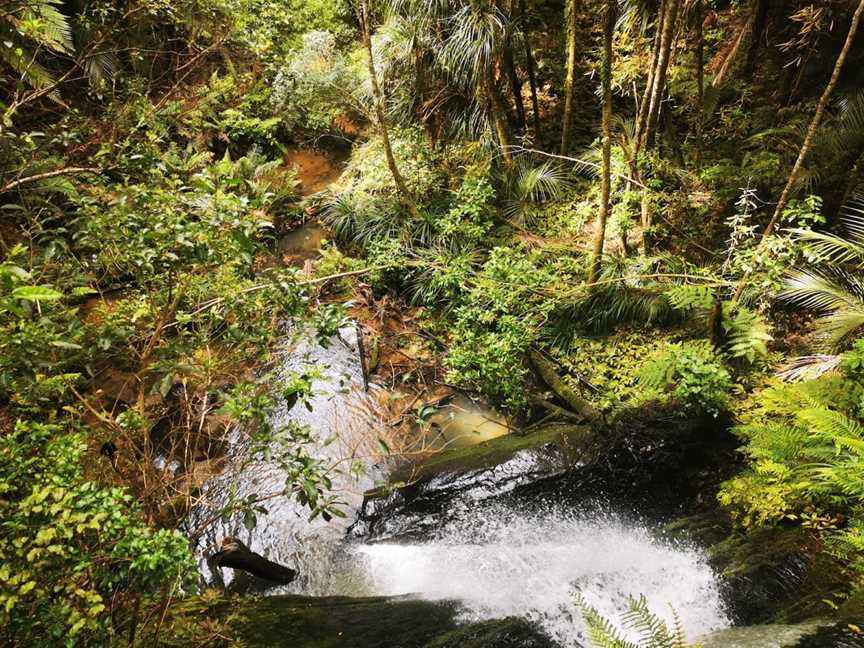 Moirs Hill Walkway / Pohuehue Waterfalls DOC #11, Warkworth, New Zealand