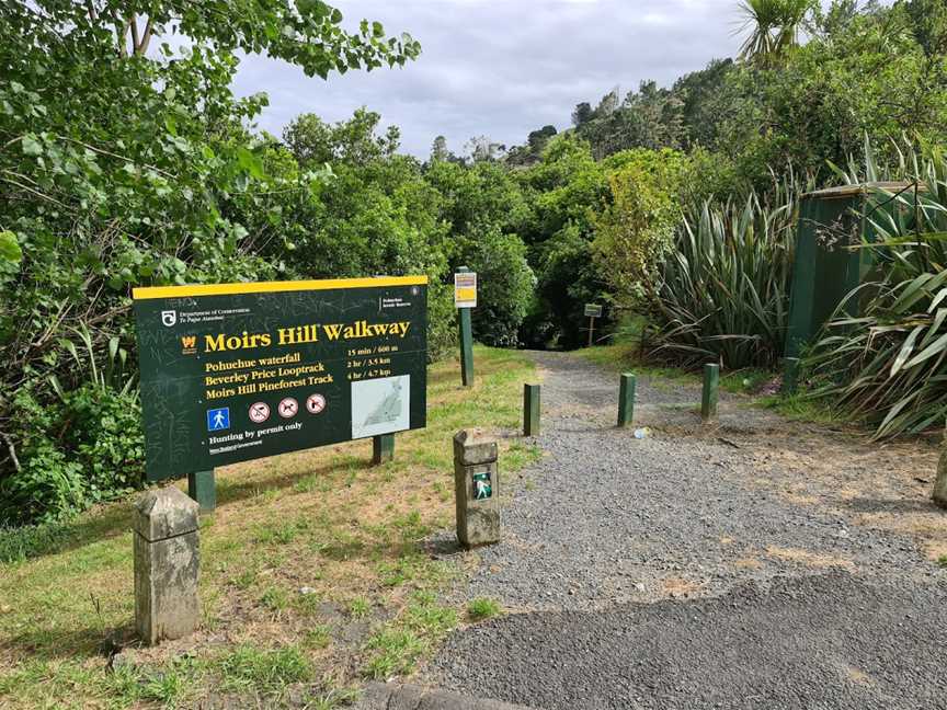 Moirs Hill Walkway / Pohuehue Waterfalls DOC #11, Warkworth, New Zealand