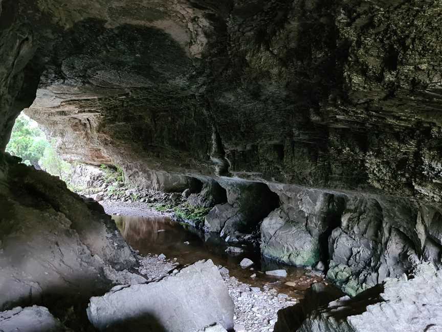 Oparara Basin Arches, Nelson, New Zealand