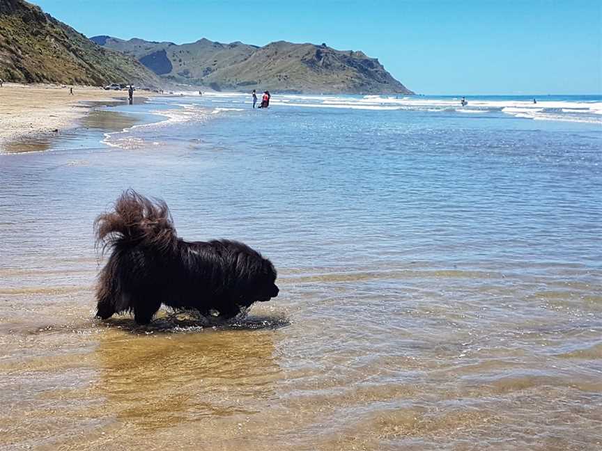 Kairakau Beach, Hastings, New Zealand