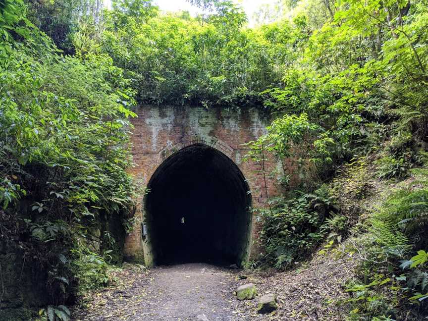 Tunnel Hill, Owaka, New Zealand