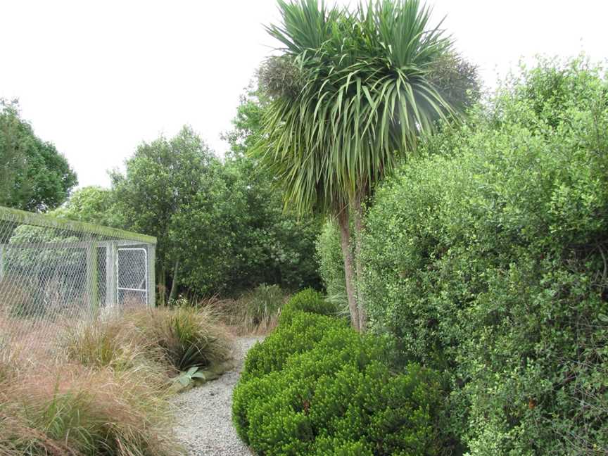 The Tin Shed, Rangitata, New Zealand