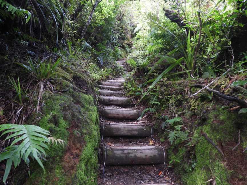 Mount Te Aroha Summit & Broadcast Tower, Te Aroha, New Zealand