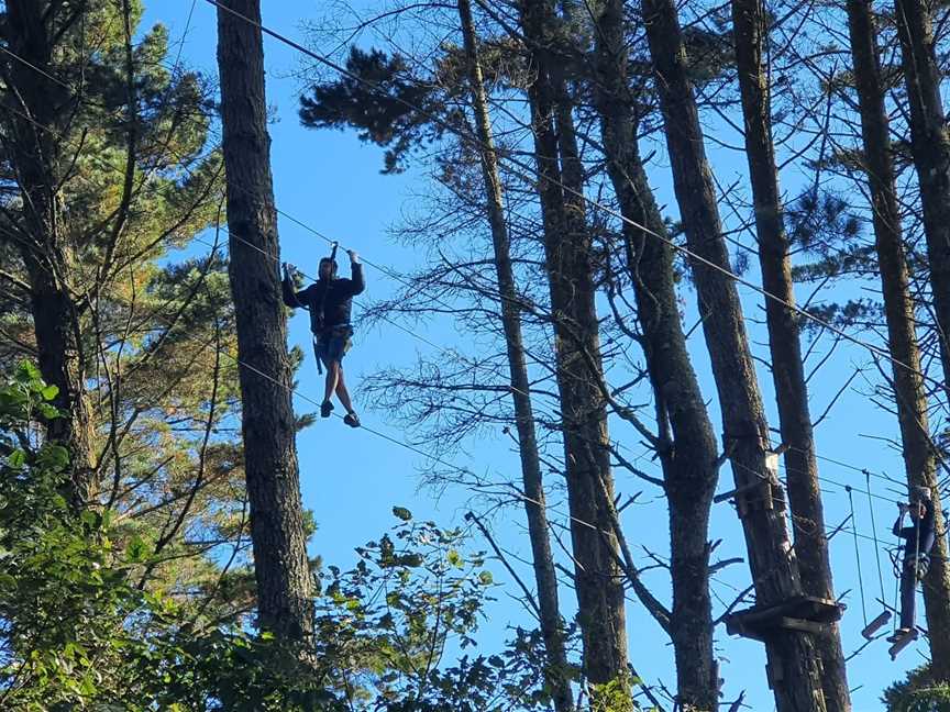 Adrenalin Forest Bay of Plenty, Tauranga, New Zealand