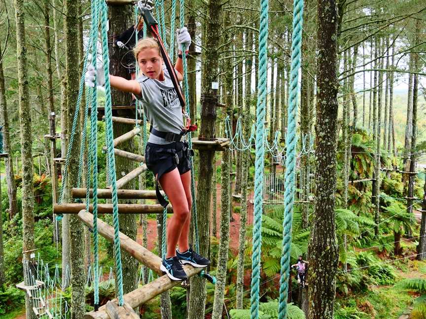 Adrenalin Forest Bay of Plenty, Tauranga, New Zealand