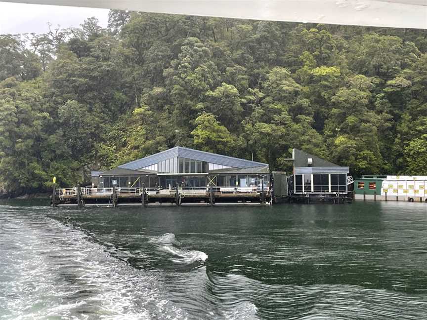 Milford Sound Underwater Observatory, Fiordland, New Zealand