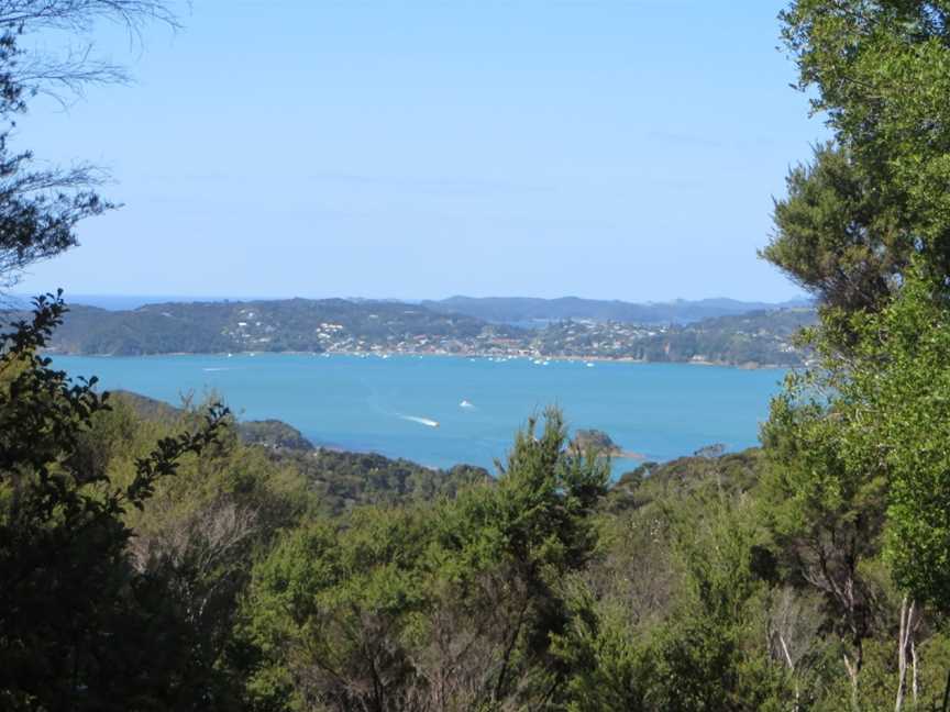 Opua Forest Paihia Lookout Track, Paihia, New Zealand