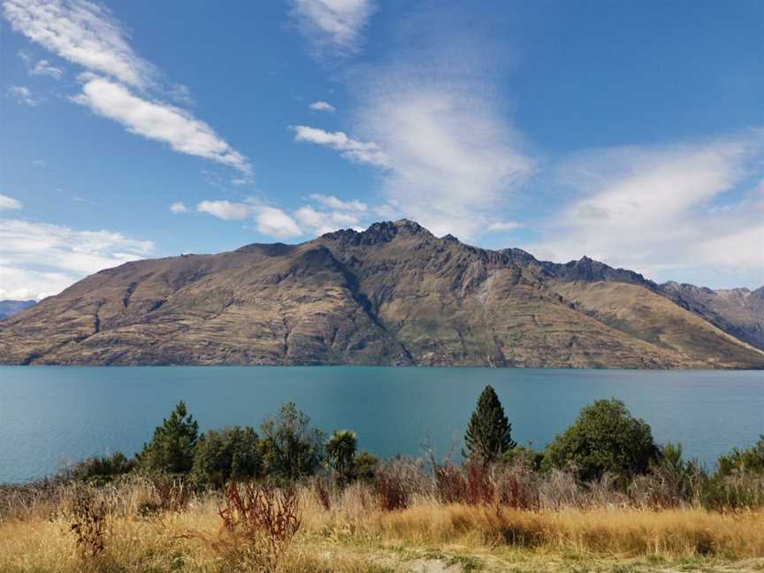 Seven Mile Point Track, Ben Lomond, New Zealand