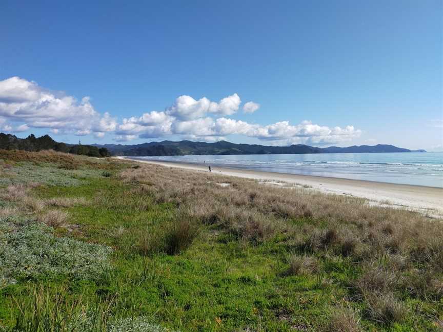 Matarangi Beach, Matarangi, New Zealand