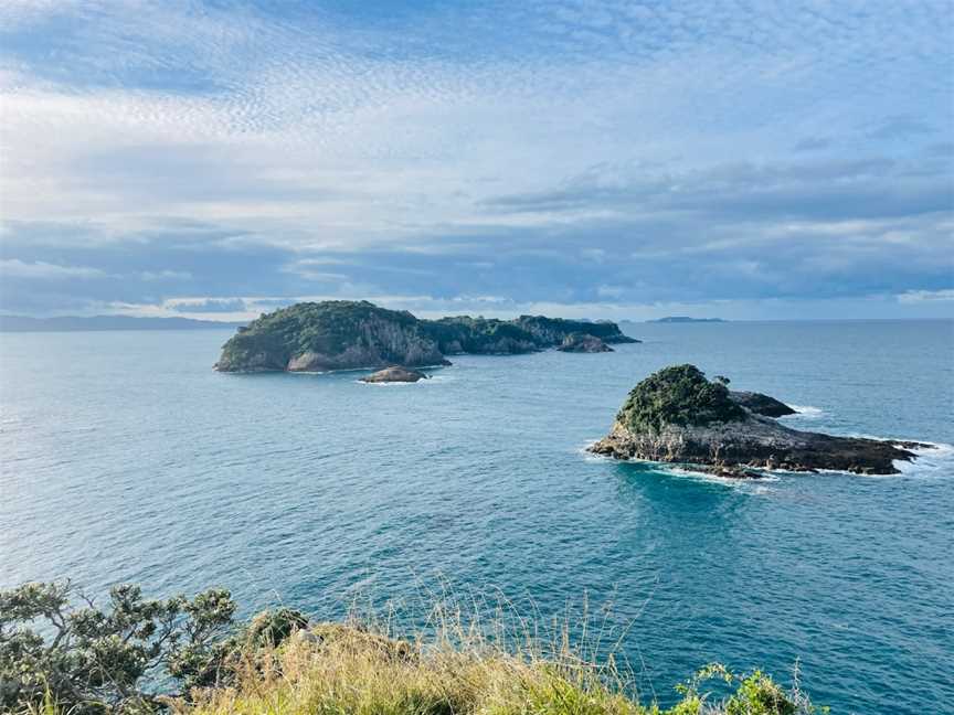 Cathedral Cove Viewing Deck, Hahei, New Zealand