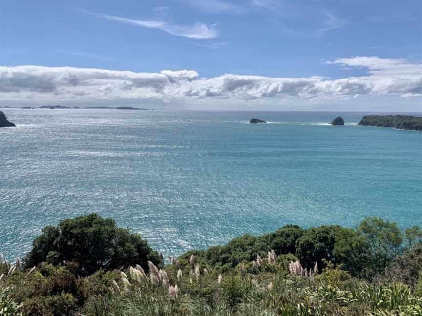 Gemstone Bay, Hahei, New Zealand