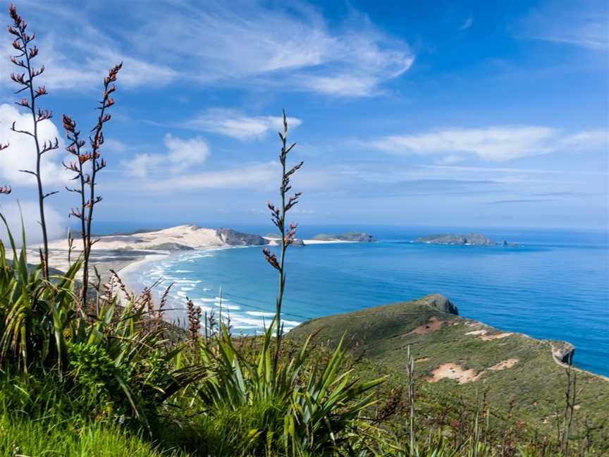 Seaview point, Kaitaia, New Zealand