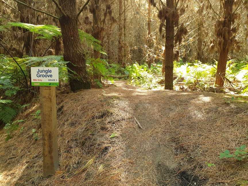 Onepu Community Park, Te Teko, New Zealand