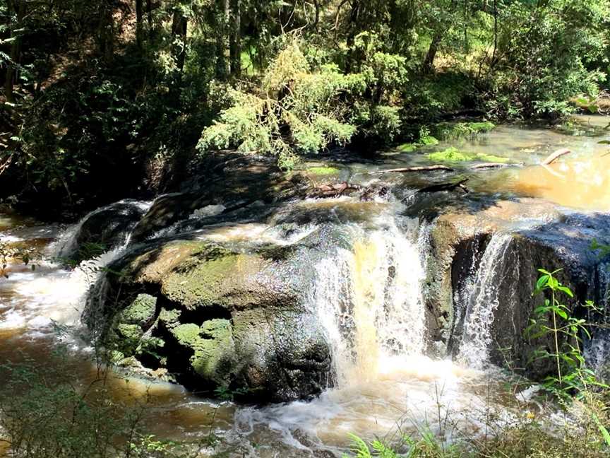 Morrinsville River Walk, Morrinsville, New Zealand