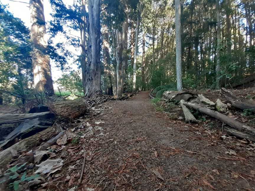 Morrinsville River Walk, Morrinsville, New Zealand