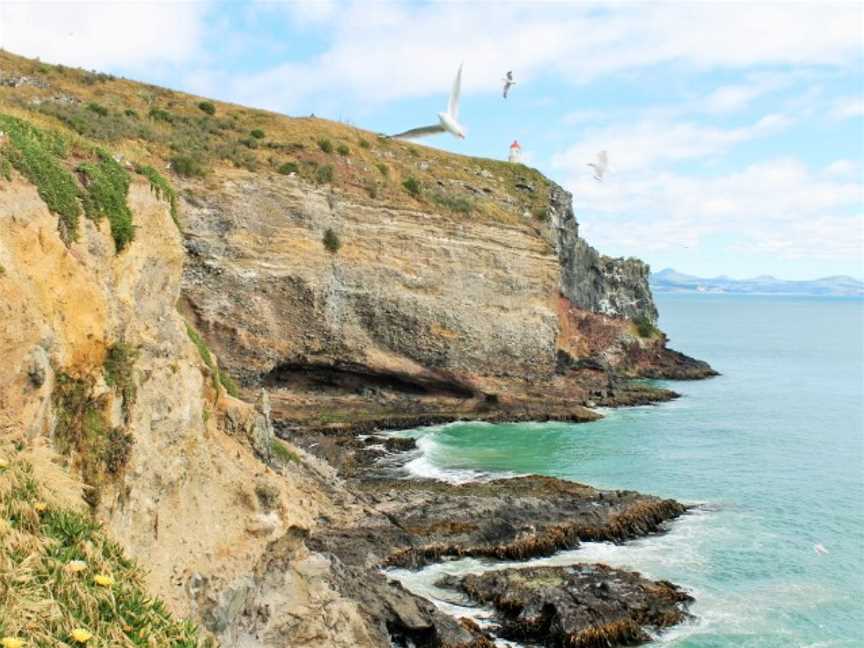 Natures Wonders, Dunedin, New Zealand