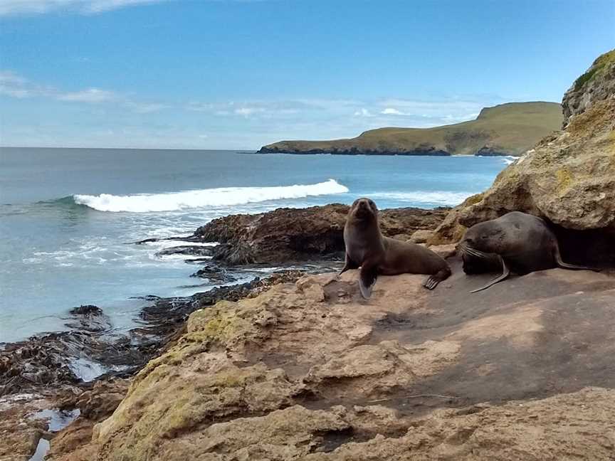 Natures Wonders, Dunedin, New Zealand