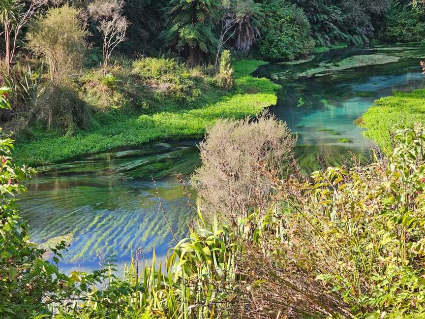 Te Waihou (Leslie Road) Car Park, Cambridge, New Zealand