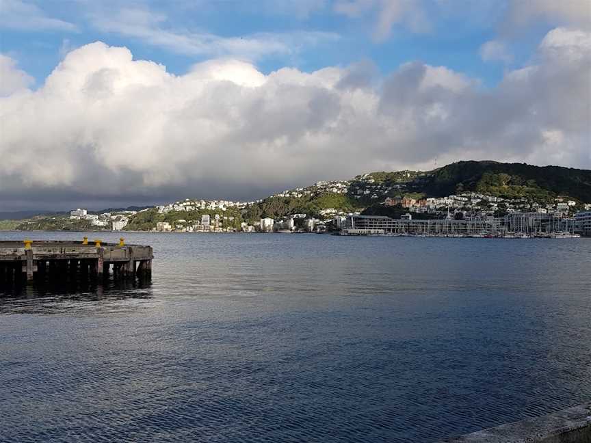 Solace in the Wind (The Naked Man) Statue, Te Aro, New Zealand