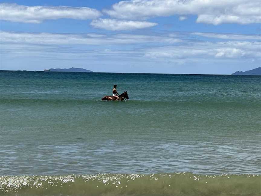 Waipu Horse Adventures, Waipu, New Zealand