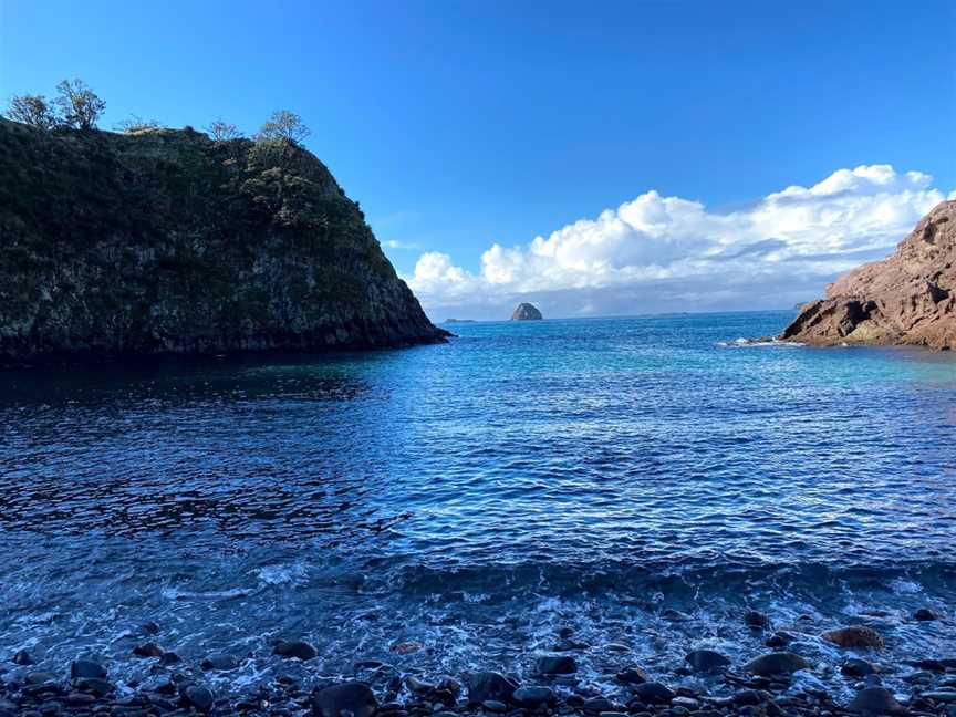 Crayfish Bay, Opito Bay, New Zealand