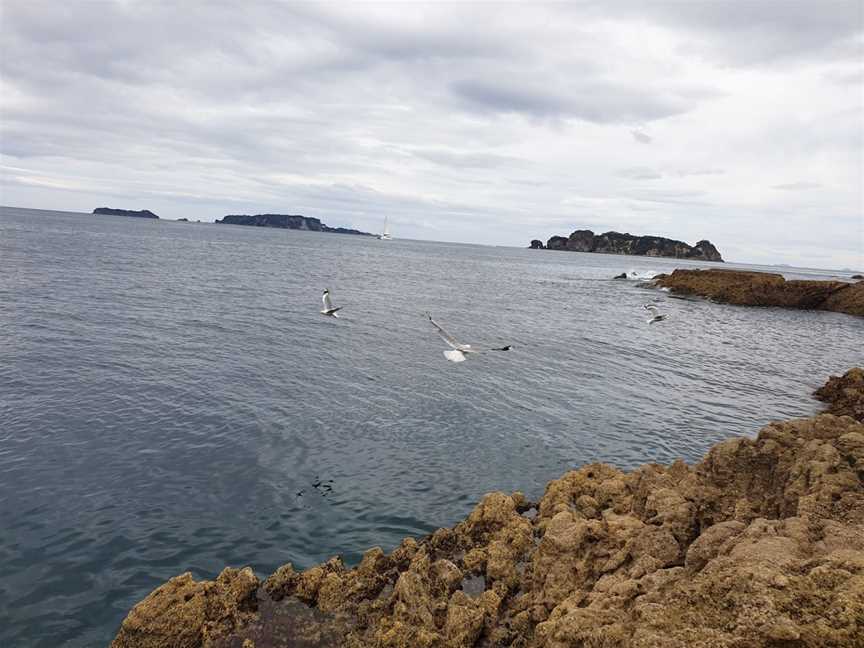 Crayfish Bay, Opito Bay, New Zealand