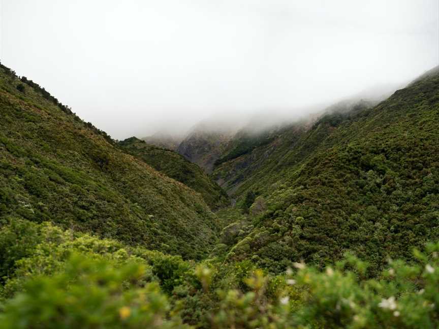 Remutaka Railtrail Summit, Upper Hutt, New Zealand