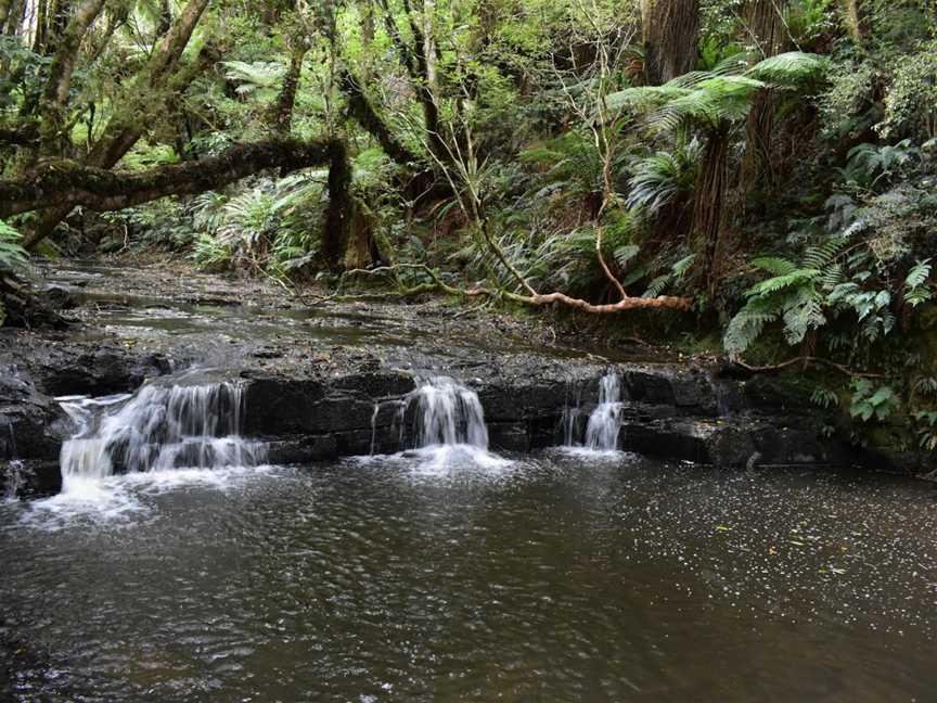 Purakanui Falls, Owaka, New Zealand