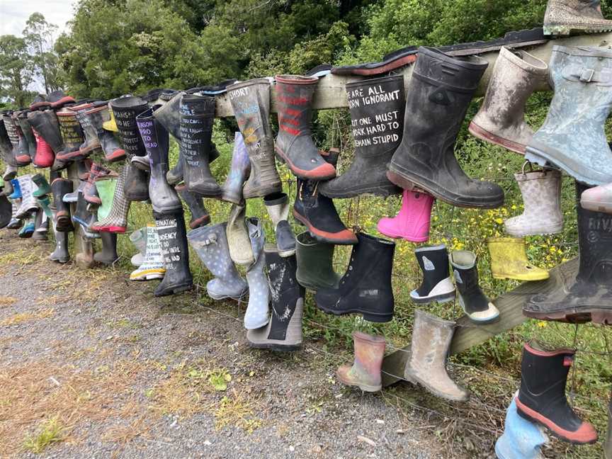 White Pine Bush Gumboot fence, White Pine Bush, New Zealand