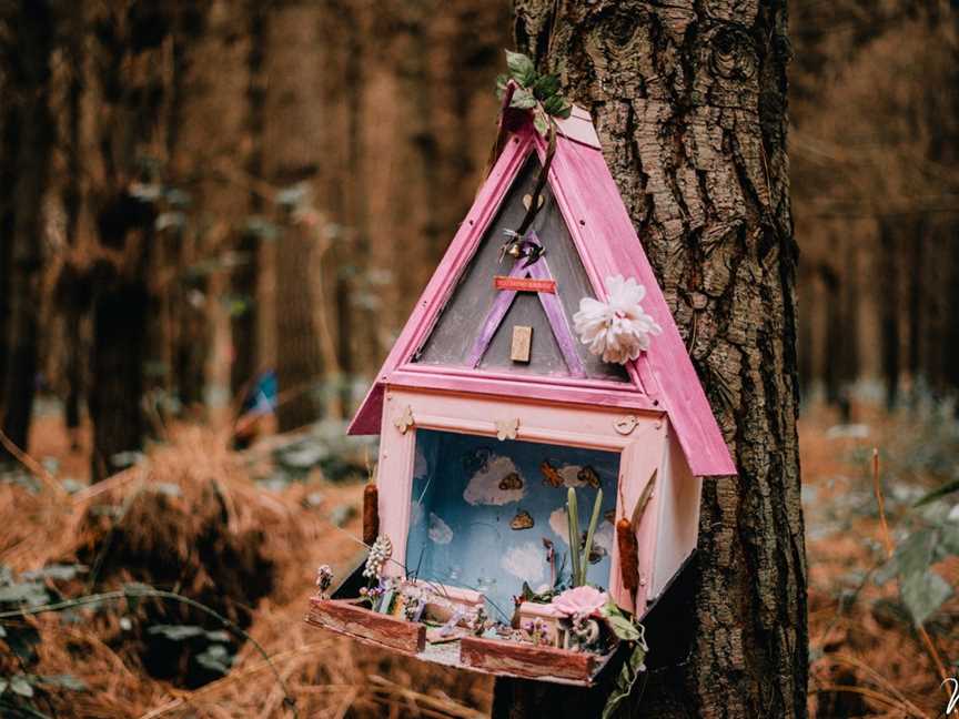 The Fairy Forest, Parklands, New Zealand