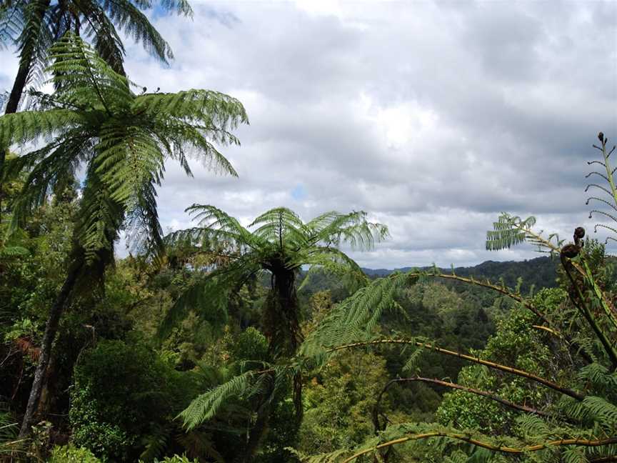 Moki Tunnel, Tahora, New Zealand