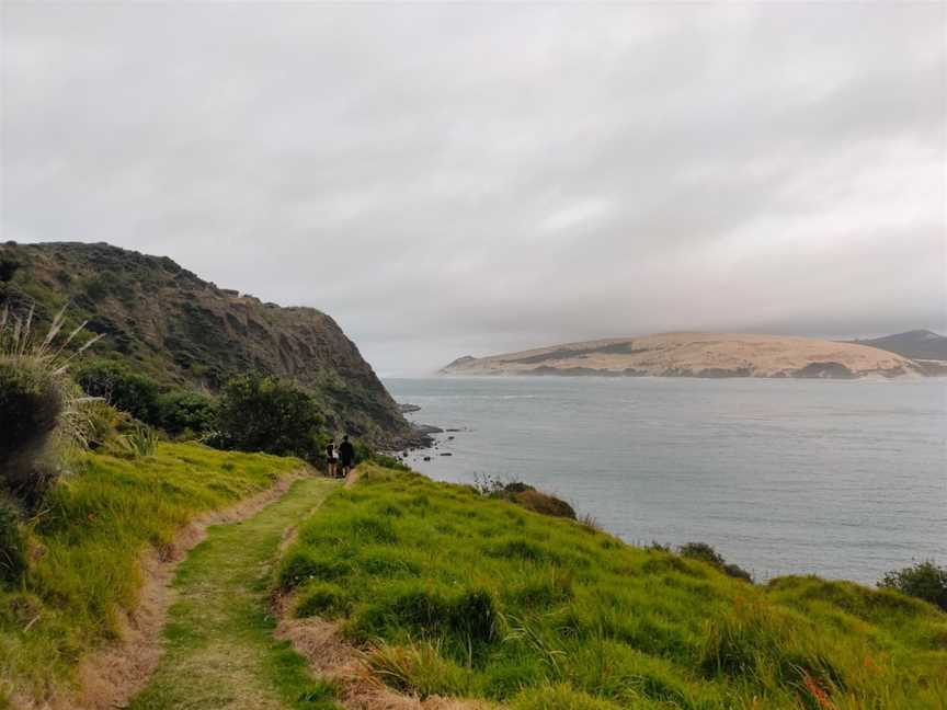 Martin's Beach, Omapere, New Zealand