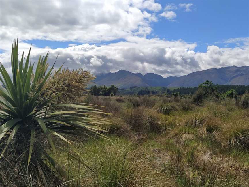 Rakatu Wetlands, Fiordland, New Zealand