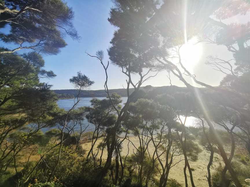 Lake Ototoa, South Head, New Zealand