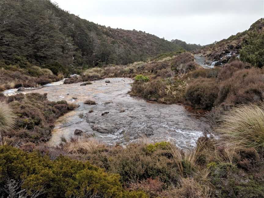 Whakapapa Nature Walk, Whanganui National Park, New Zealand