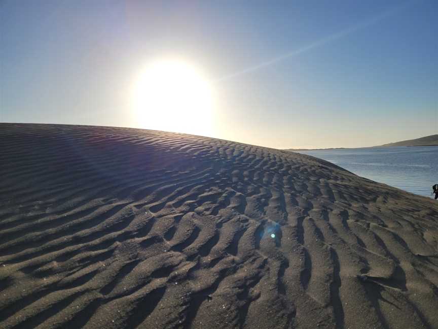 Port Waikato Sand Dunes, Port Waikato, New Zealand