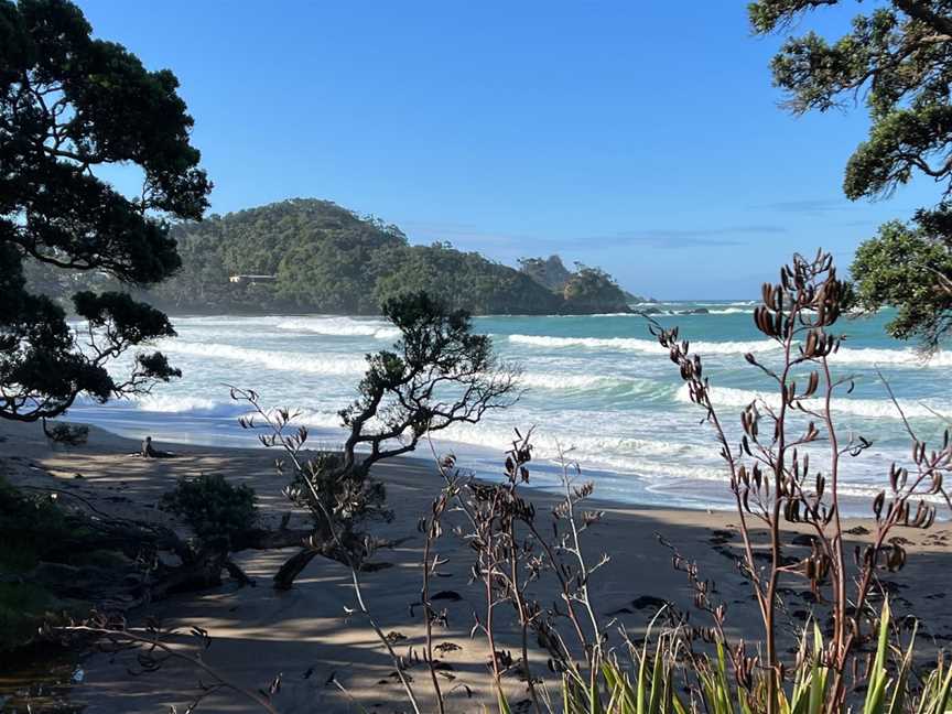 Moureeses Bay, Whangarei, New Zealand