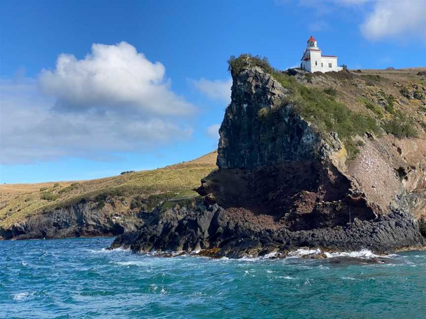 Taiaroa Head, Harington Point, New Zealand