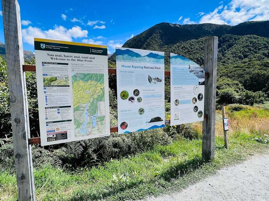 Blue Pools Track, Makarora, New Zealand