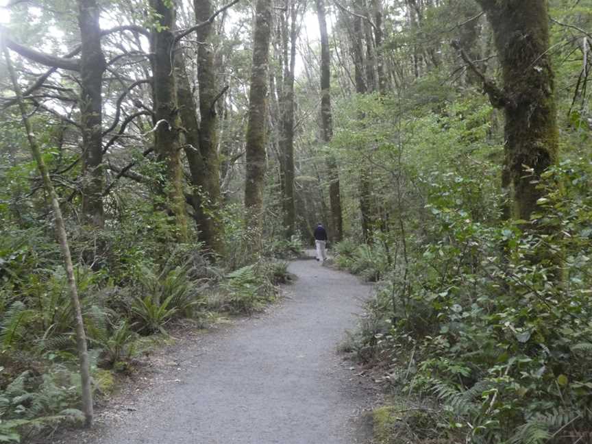 Blue Pools Track, Makarora, New Zealand